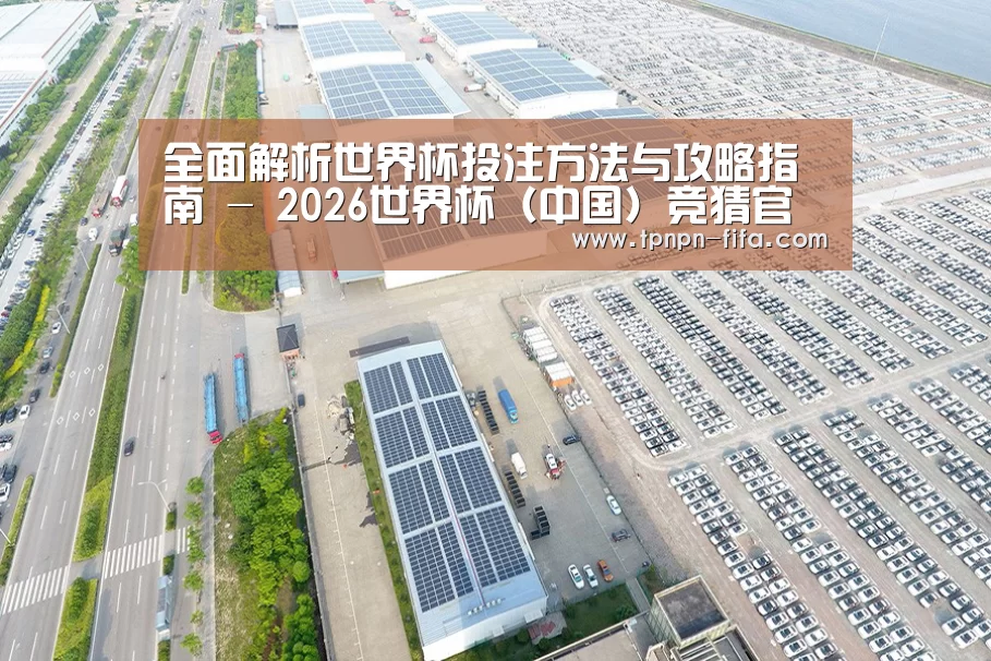 案例展示一