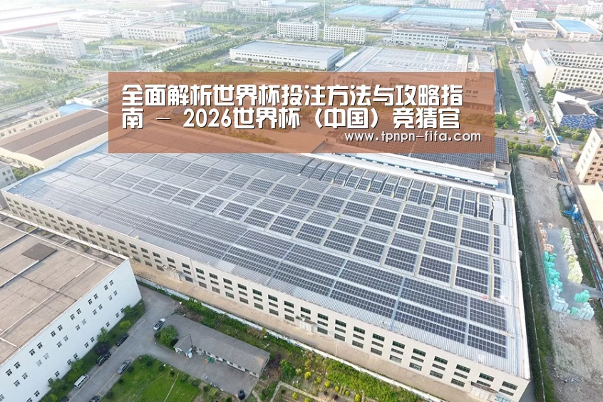 案例展示三
