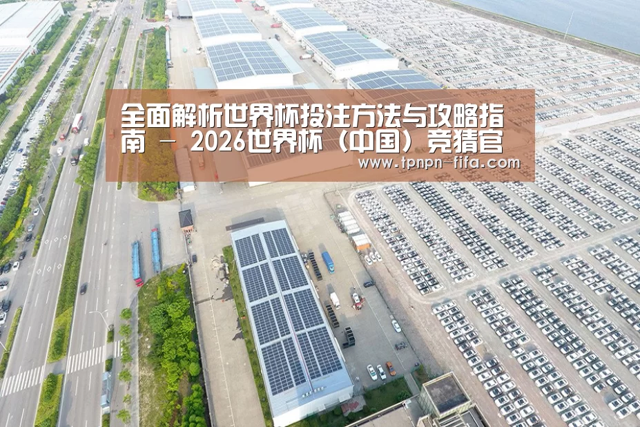 案例展示一