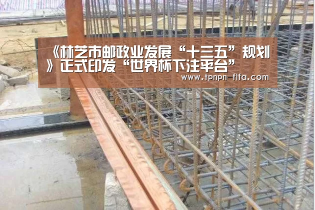 《林芝市邮政业发展“十三五”规划》正式印发“世界杯下注平台”(图1) 世界杯下注平台