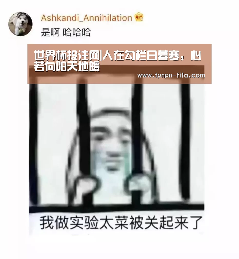 世界杯下注平台